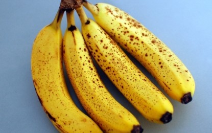 Bananele cu coaja pătată combat cancerul. Mit sau realitate?