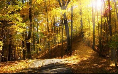 VREMEA se ÎNCĂLZEŞTE uşor: cum arată PROGNOZA METEO pentru începutul săptămânii