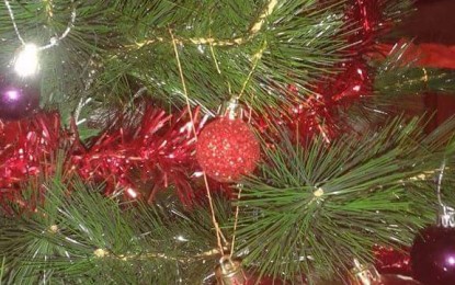 Sărbători frumoase vă urează echipa Cris Prev! Crăciun fericit tuturor