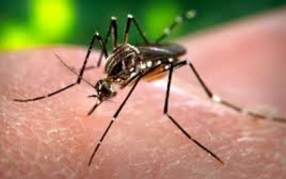 Un PRIM CAZ de infectare cu virusul Zika, depistat în Chile