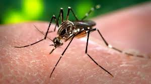 Un PRIM CAZ de infectare cu virusul Zika, depistat în Chile