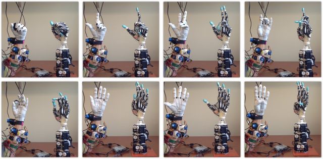 Cercetătorii intenţionează să crească tendoane umane pe o mână robotică avansată