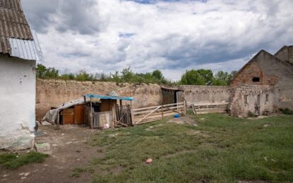 Povestea celor trei fetițe care au murit după ce au fost spălate pe cap cu soluție pentru oi. Cum au tratat autoritățile „rușinea” de a avea păduchi (I) Citeşte întreaga ştire: Povestea celor trei fetițe care au murit după ce au fost spălate pe cap cu soluție pentru oi. Cum au tratat autoritățile „rușinea” de a avea păduchi (I)