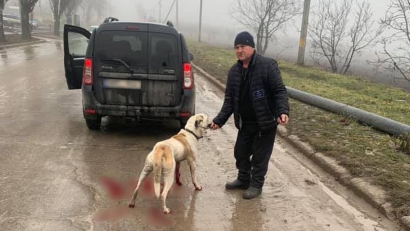 Amendă de 1.000 de lei pentru șoferul din Sibiu care și-a scos câinele la plimbare legat de cârligul mașinii Citeşte întreaga ştire: Amendă de 1.000 de lei pentru șoferul din Sibiu care și-a scos câinele la plimbare legat de cârligul mașinii